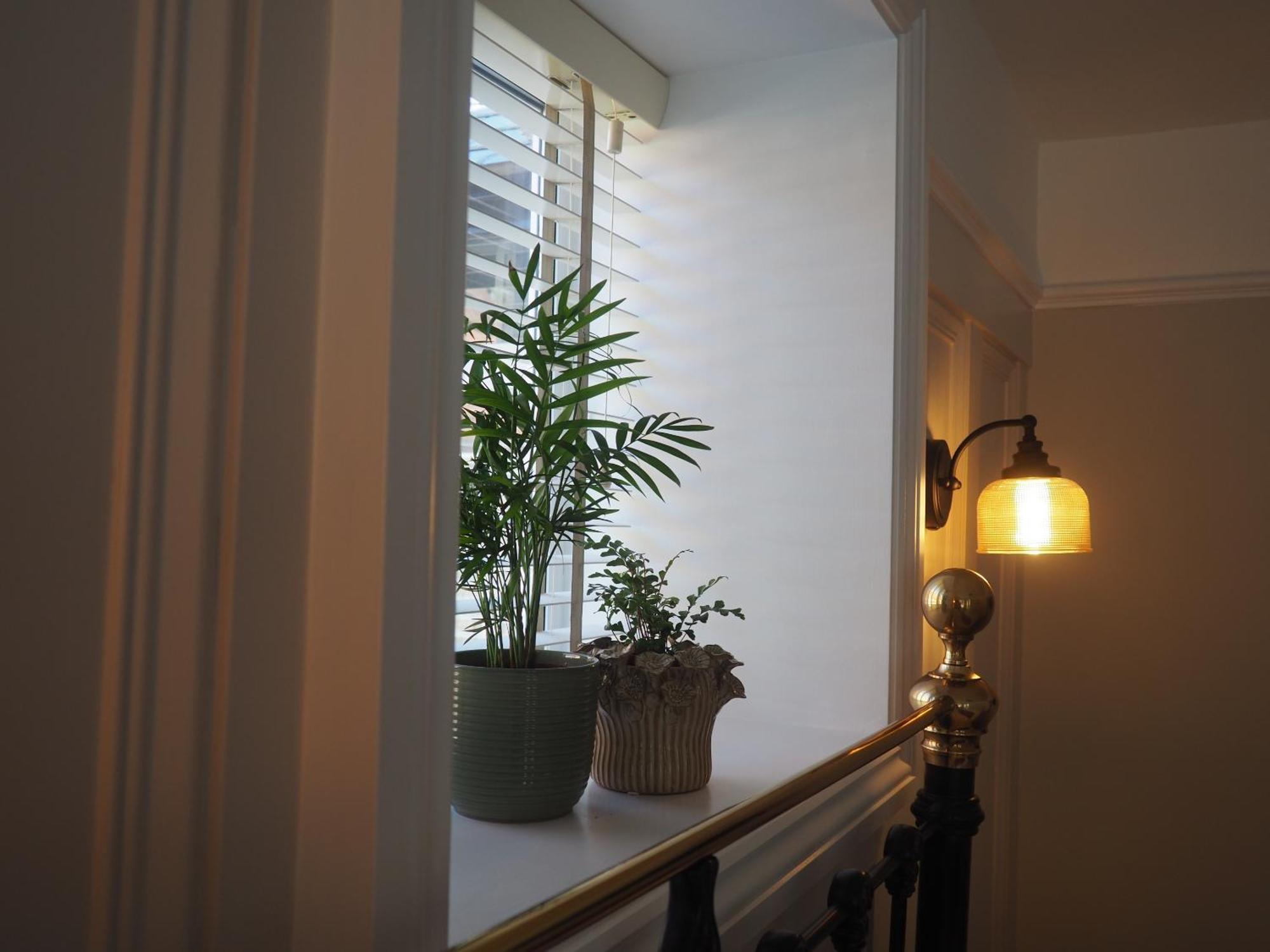 South View Guest House Lynton Buitenkant foto